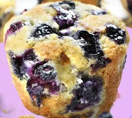 Double Blueberry gourmet jumbo muffin